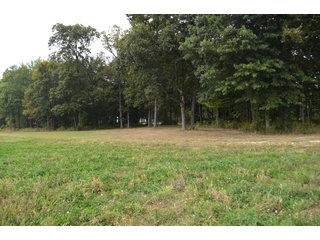 Pond in Dekalb County, Indiana - MAJOR LAND AUCTION - 516+/- ACRES OFFERED IN 18 TRACTS OR COMBINATIONS IN DEKALB COUNTY, INDIANA